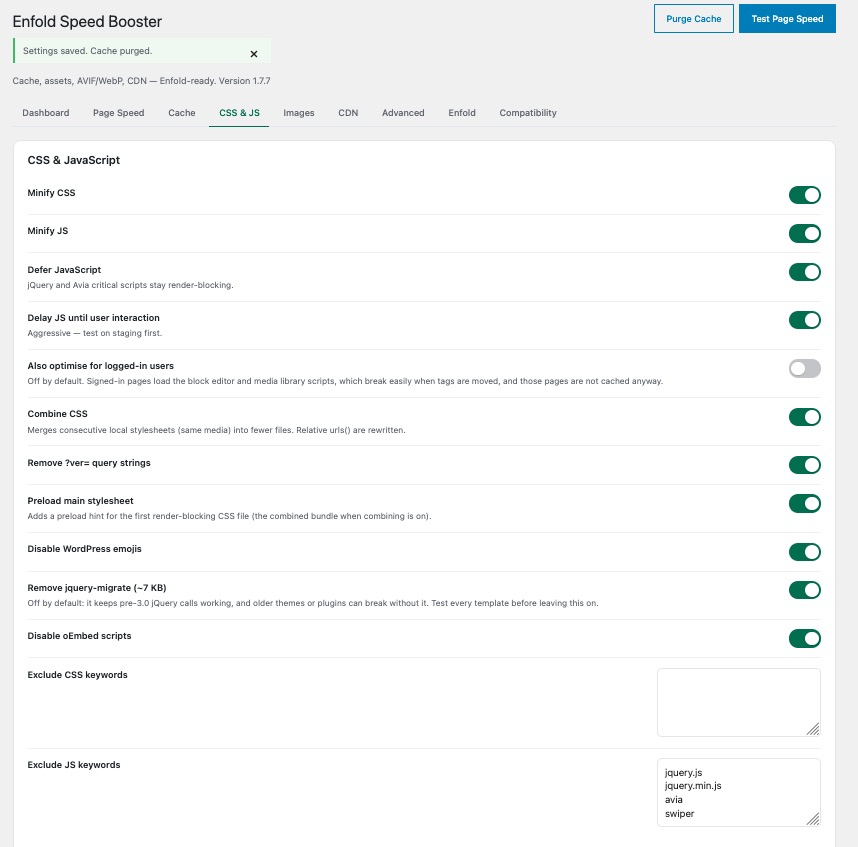 CSS and JavaScript settings: minify, defer, delay, combine CSS, preload main stylesheet