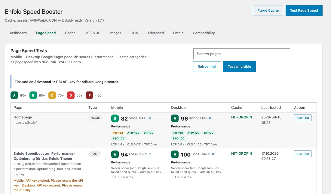 Page Speed tab listing pages with mobile and desktop PageSpeed scores